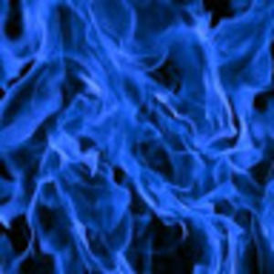 Meet your Posher, Herman